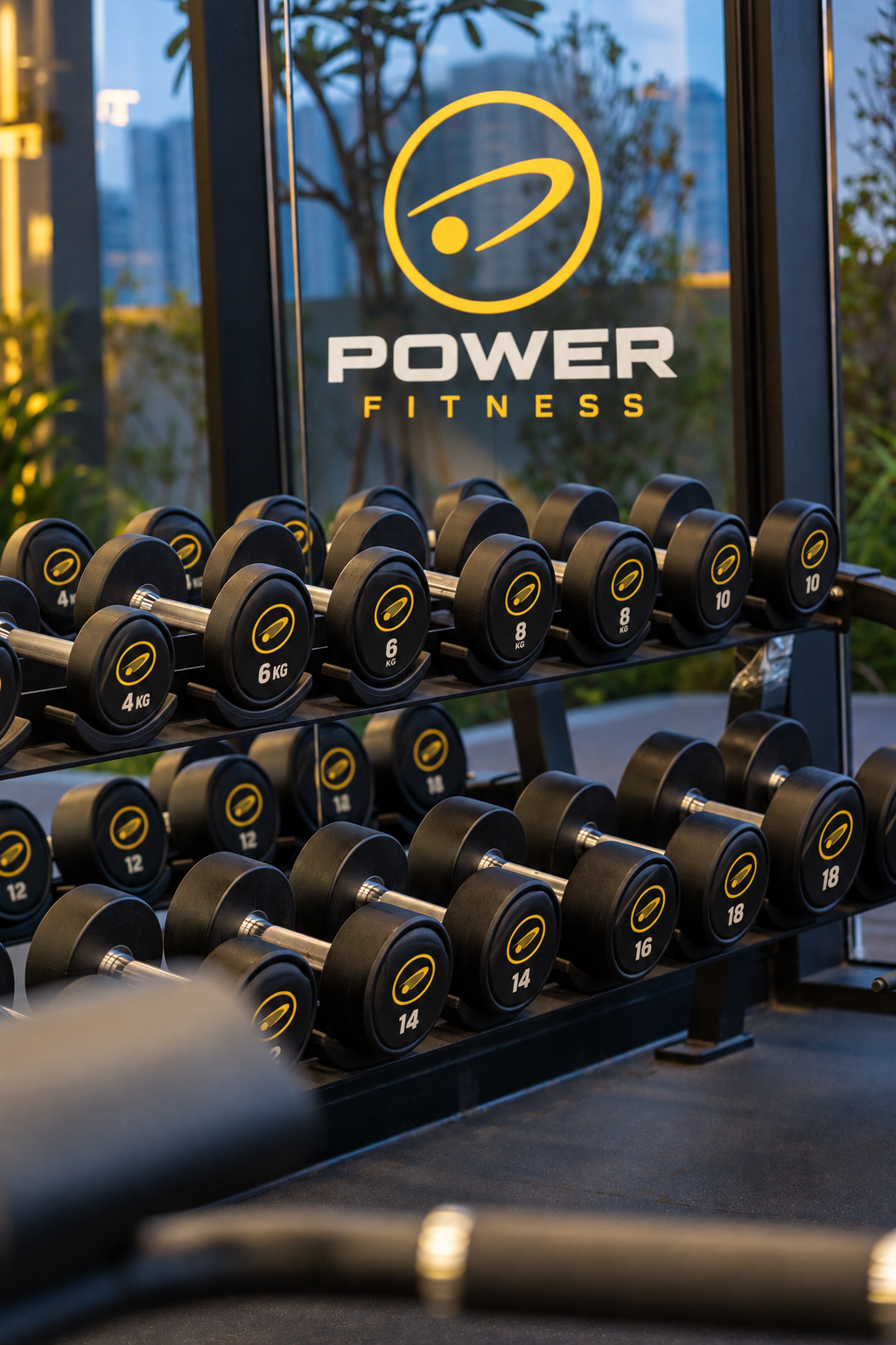 Conjunto de halteres com a identidade visual Power Fitness